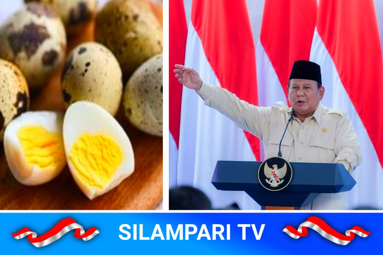 Prabowo Instruksikan Penggantian Telur Ayam ke Telur Puyuh Untuk Menu MBG Saat Nataru
