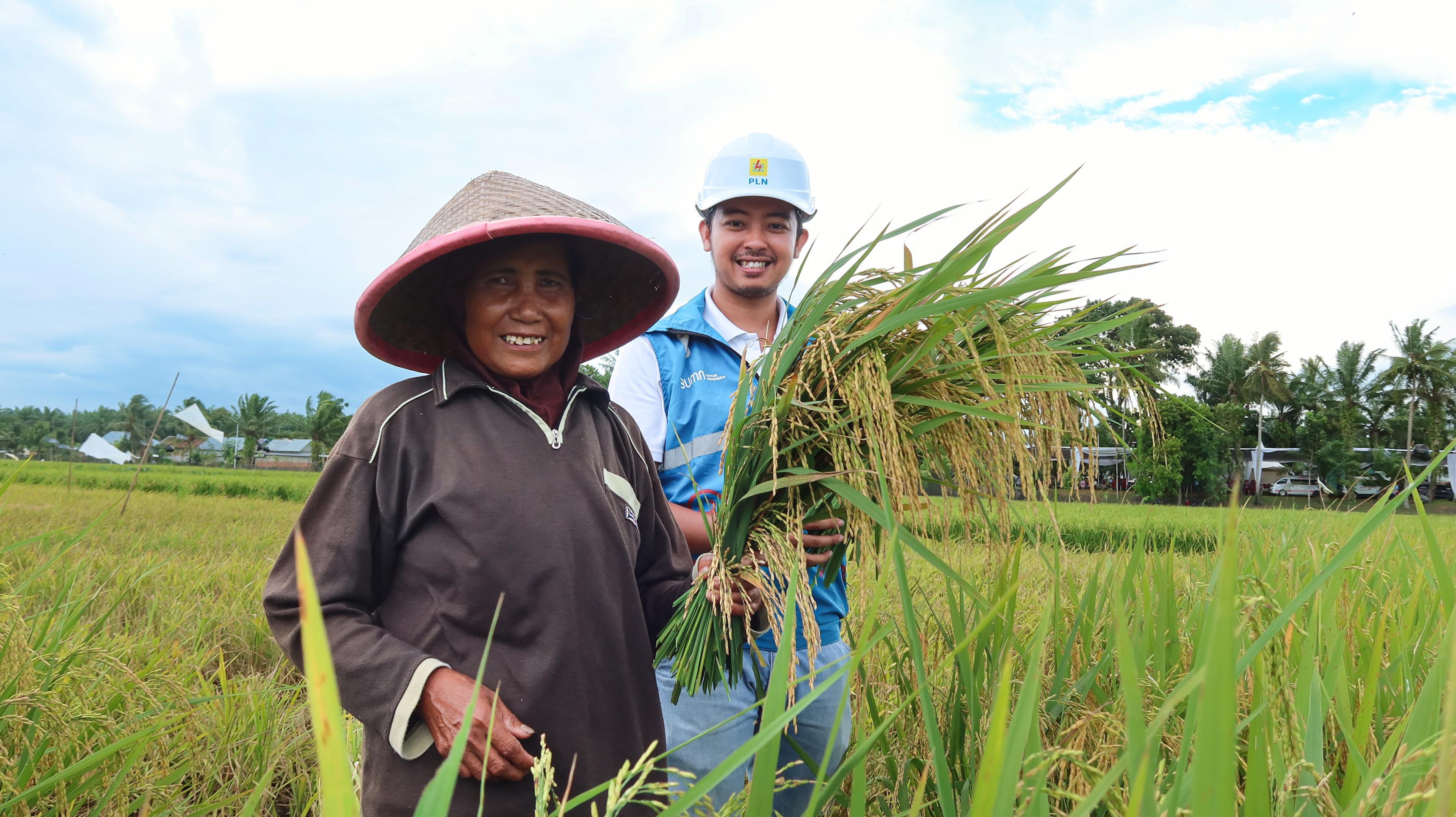 Inovasi Pertanian Berbasis Listrik: Electrifying Agriculture Hadir di Seluma Bengkulu, Dukung Program KPN