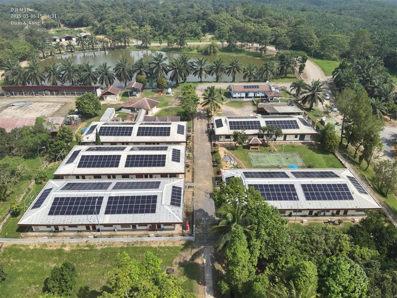 Pasang 1.500 Panel Surya di Blok Corridor, MedcoEnergi Kurangi Emisi hingga 934 Ton CO2e Per Tahun