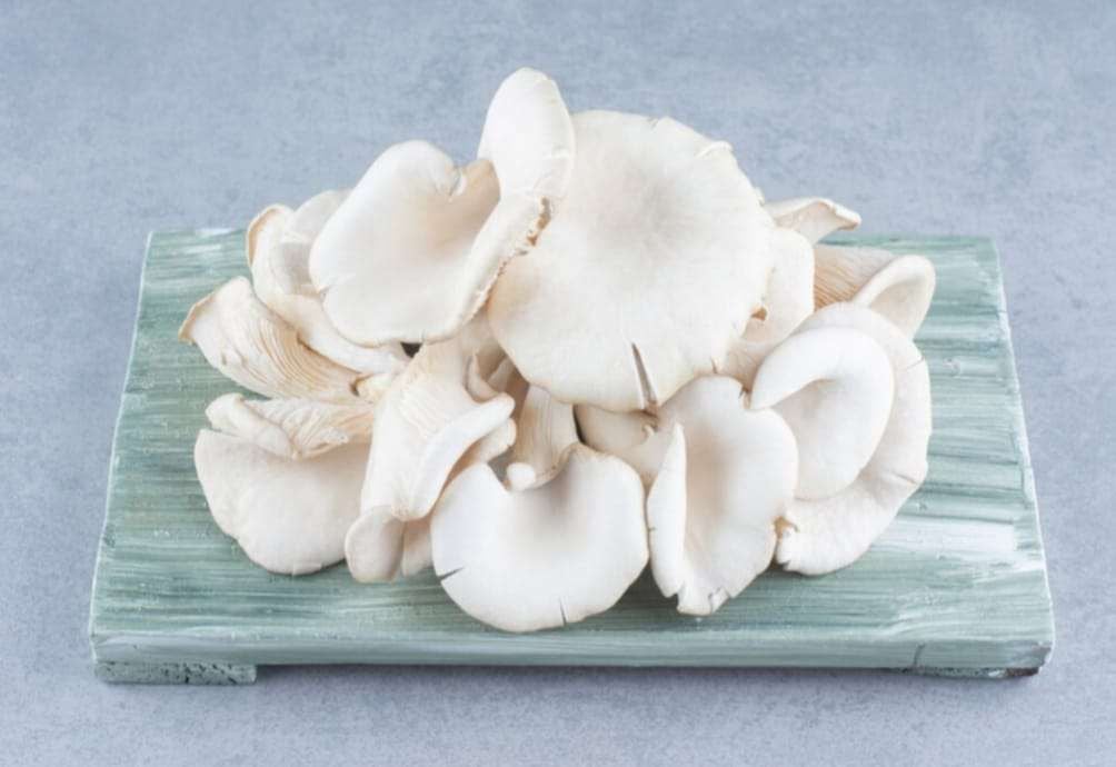 5 Cara Menyimpan Jamur agar Tetap Segar dan Tahan Lama