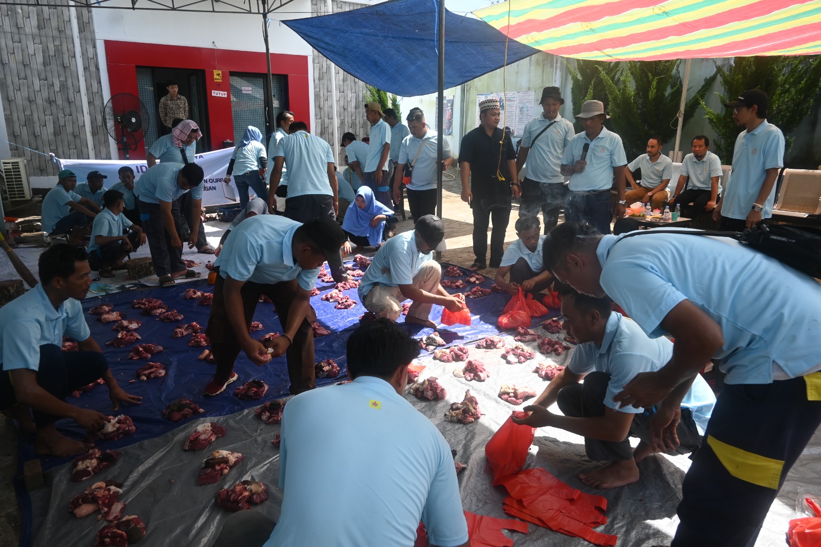 Momen Hari Raya Idul Adha, PLN ULP Lubuklinggau Hadir Langsung Lakukan Kegiatan Pemotongan Hewan Kurban