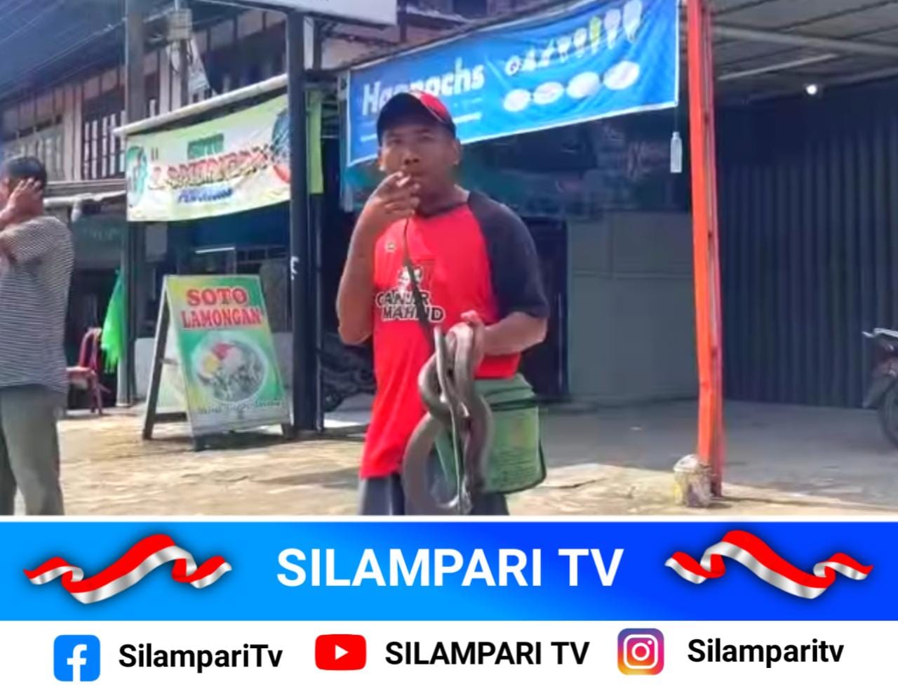 Heboh! Pria di Bengkulu Tewas Usai Mainkan Ular Kobra di Pasar