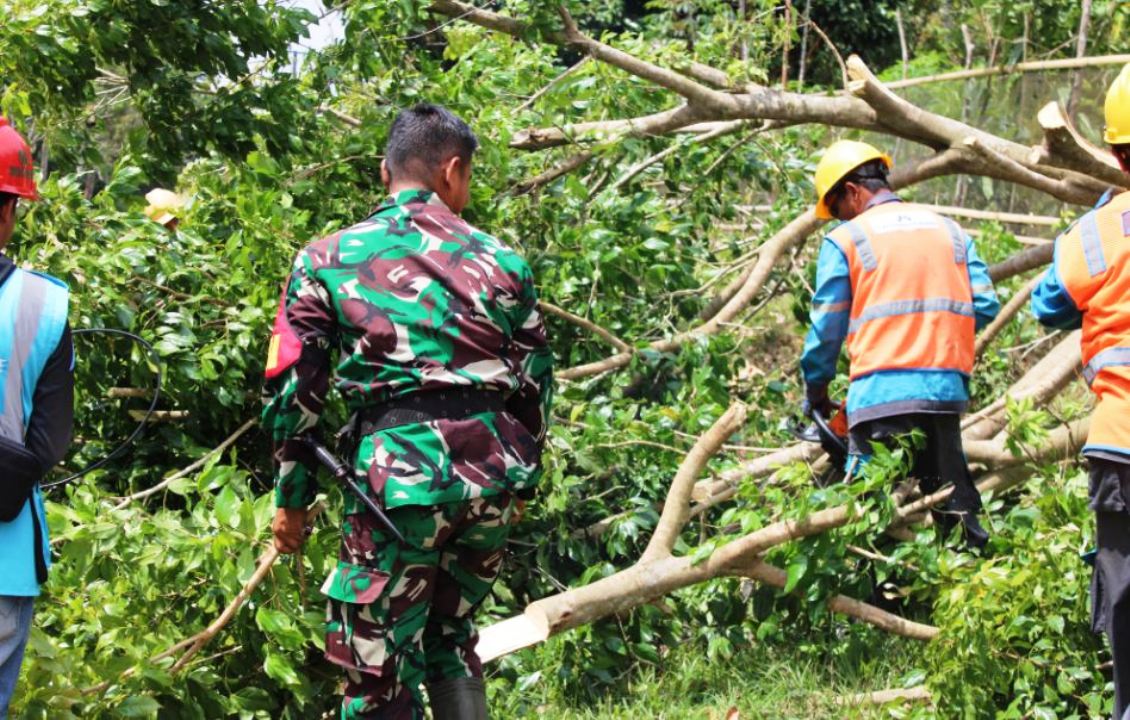 Lewat Gebyar Right of Way, PLN dan Kodim 0425 Berkolaborasi untuk Perkuat Andalan Listrik Kabupaten Seluma