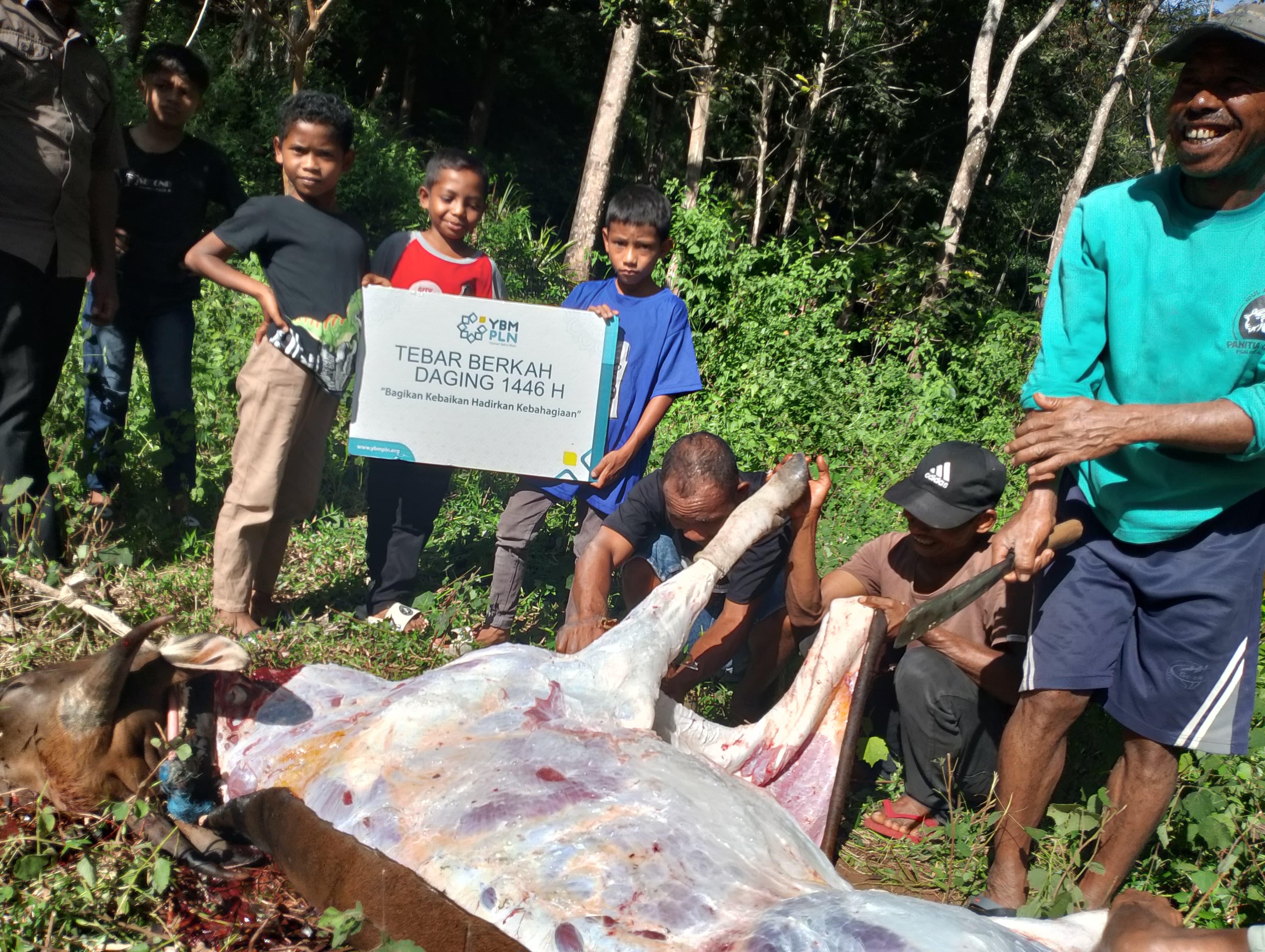 Rayakan Idul adha 1446H, PLN Salurkan Daging Kurban di Berbagai Daerah