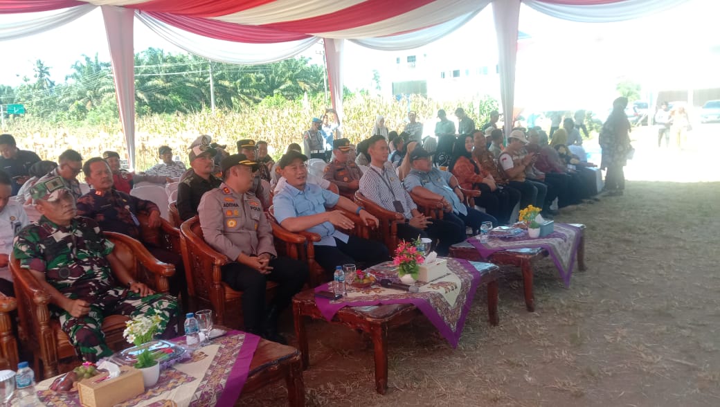 Kegiatan Panen Raya Jagung Serentak Kuartal II Polres Lubuk Linggau  Lubuk Linggau berlangsung Sukse