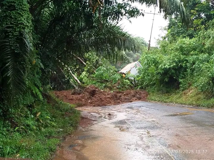 Longsor di Rejang Lebong Arus Mudik dan Pasokan Logistik ke Lubuklinggau Terganggu