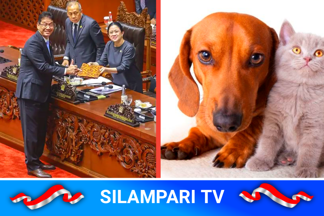 Perlindungan Hewan Diperkuat, RUU Baru Siap Atur Larangan Perdagangan Daging Anjing.