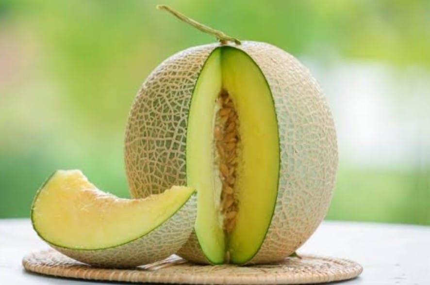 Kekayaan Nutrisi Yang Terkandung Pada Buah Melon untuk Kesehatan