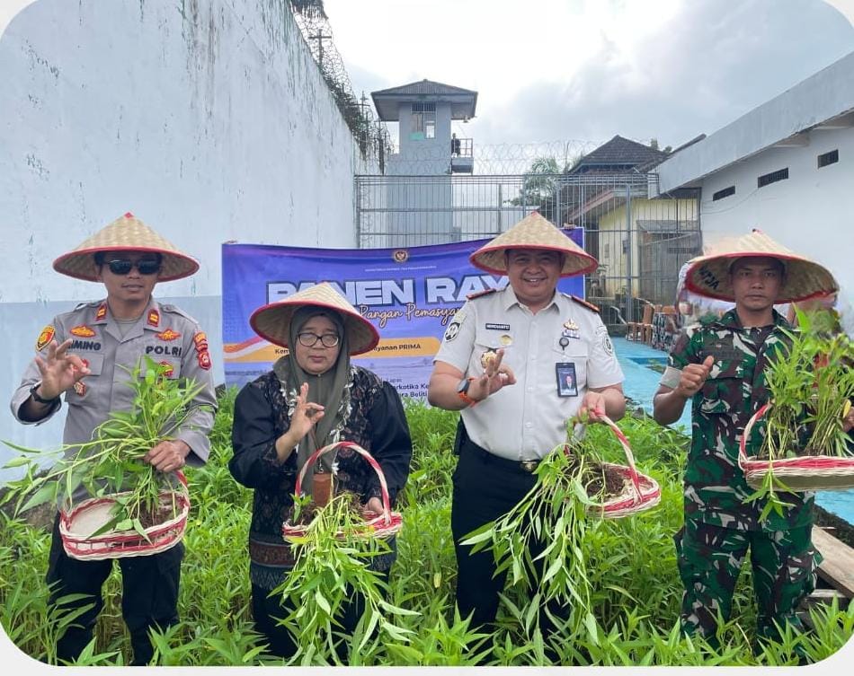 Panen Raya di Lapas Narkotika Muara Beliti, Wujud Dukungan Ketahanan Pangan