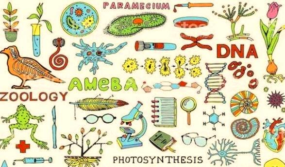 Kumpulan Soal Ujian IPA Kelas 6 SD dan Jawabannya: Siap Hadapi Ujian!