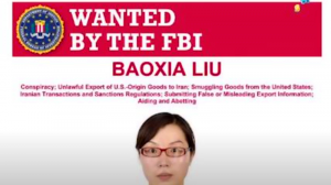 Baoxia Liu: Wanita Buronan Termahal Dunia, Dihargai Rp. 245 Miliar oleh FBI