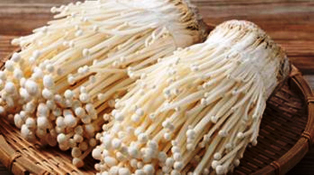 Manfaat Jamur Enoki: Superfood Lezat yang Ampuh Turunkan Gula Darah dan Kolesterol