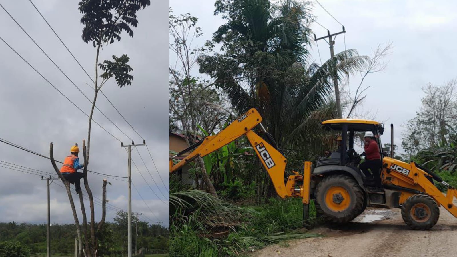 Perkuat Jaringan Distribusi 20 kV, Cara PLN ULP Muratara Tingkatkan Keandalan Pasokan Listrik