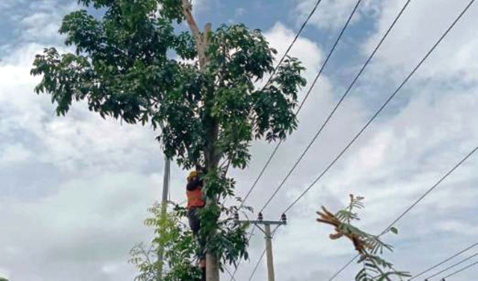 Tim K3 PLN UID S2JB Bersama UP3 Berikan Edukasi Keselamatan Kelistrikan Tanpa Harus Rasakan Bahayanya