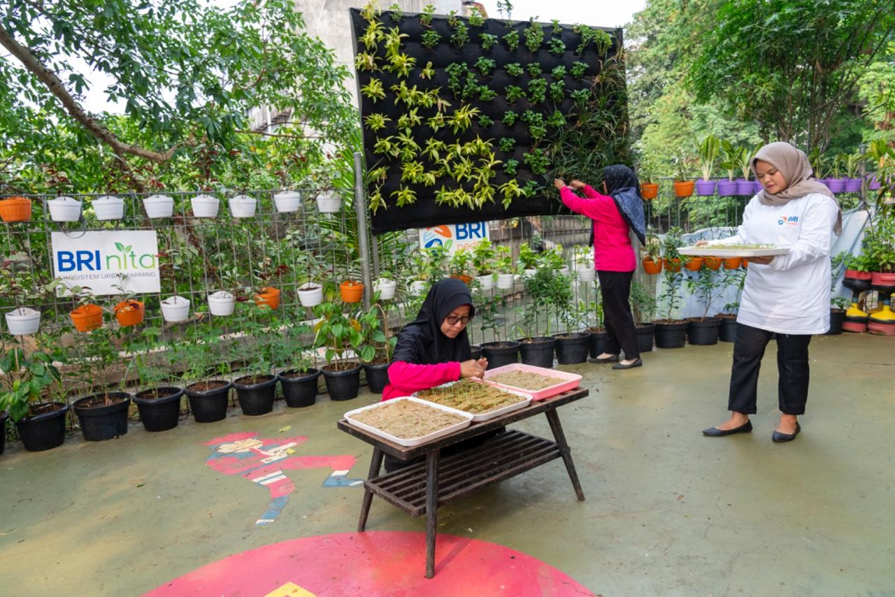 BRI Diakui atas Peran Nyata dalam Urban Farming dan Pemberdayaan  Perempuan