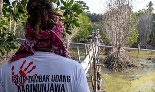 Taman Nasional Karimunjawa Tercemar Limbah Tambak Udang, 4 Orang Ditetapkan Menjadi Tersangka