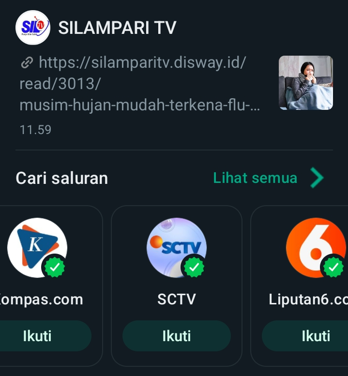 Cara Membuat Saluran di Whatsapp, Dapatkan Informasi Update dan Paling Populer