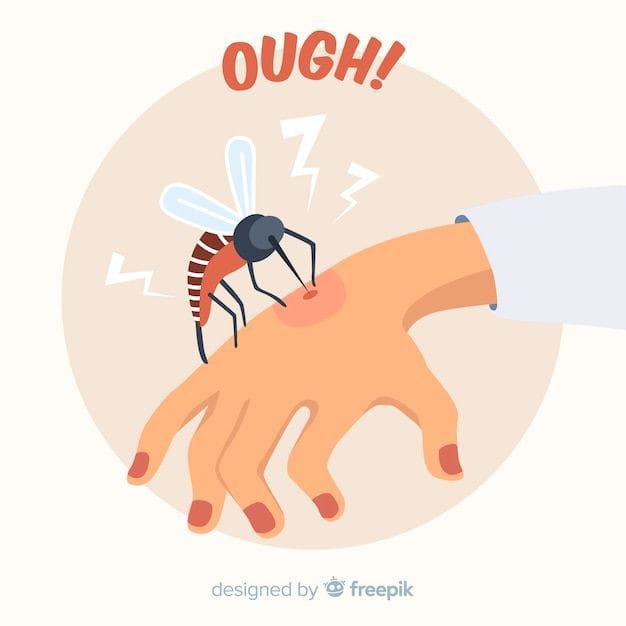 Kenali Penyakit Demam Berdarah Dengue (DBD) dan Pencegahannya