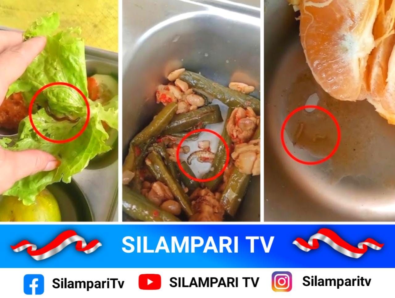 Viral! Cacing dan Ulat Ditemukan di Menu MBG Musi Rawas, Dua Desa Tolak Distribusi