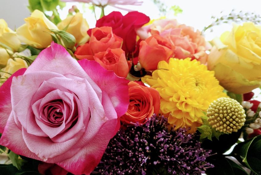 Ketahui Kepribadian Seseorang Berdasarkan Bunga Favorit, Suka Mawar Atau Matahari?