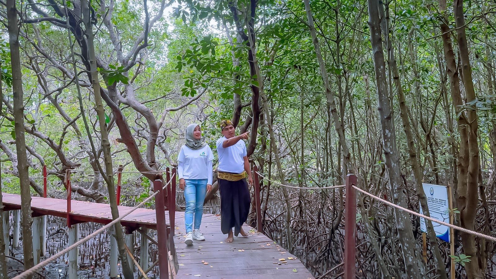 Ekowisata Hutan Mangrove Purba Jerowaru Lombok Timur Kerek Ekonomi Masyarakat, Bak Oase di Padang Gurun 