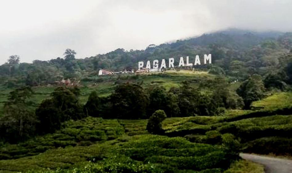 Dempo Status Waspada, BPBD Imbau Pendaki Tak Mendekat Kawah Radius 1 KM