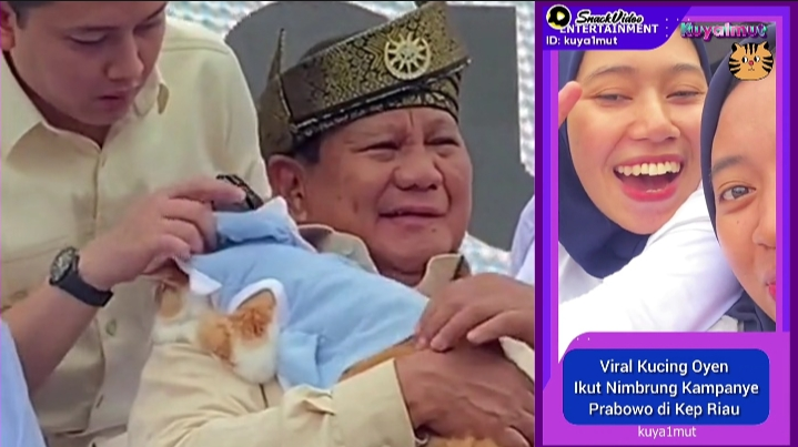 Momen Unik Prabowo Subianto Capres Nomor Urut 2 Gendong Kucing, Pemilik tak Berhenti Tersenyum