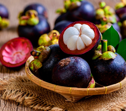 Rahasia Kulit Manggis: Minuman Herbal Kaya Manfaat untuk Kesehatan