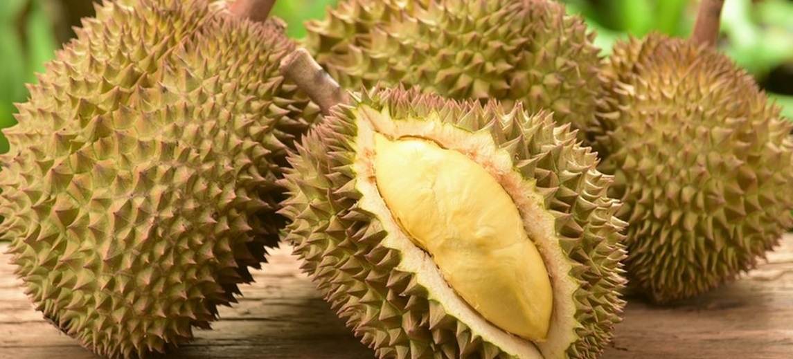 Bukan Hanya Enak, Ini 6 Manfaat Buah Durian Bagi Kesehatan