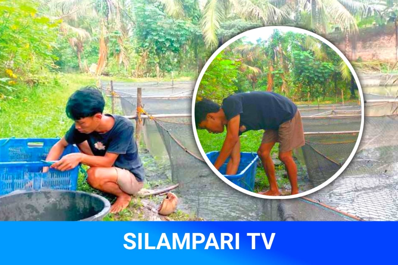 Cerita Inspiratif Pemuda OKUT: Budidaya Lele di Pekarangan, Wahyu Raup Jutaan Rupiah Sekali Panen.