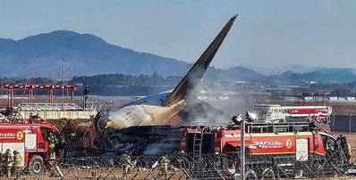 Kronologi Kecelakaan Pesawat Jeju Air di Korea Selatan: Serangan Burung Masuk ke Mesin 