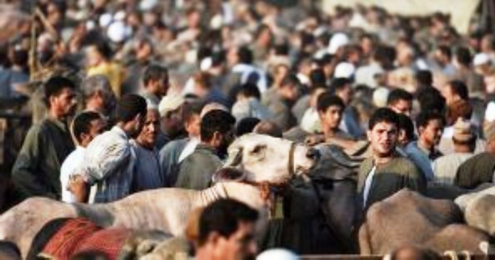 Unik, Lebaran Idul Adha di Mesir Tahun Ini Adakan Liburan Panjang Lebih Meriah dari Lebaran Idul Fitri