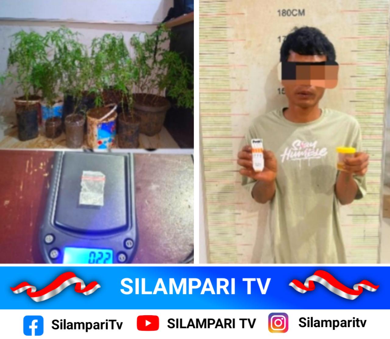 Polisi Gerebek Rumah Petani di Empat Lawang, 44 Batang Ganja dan Sabu Diamankan