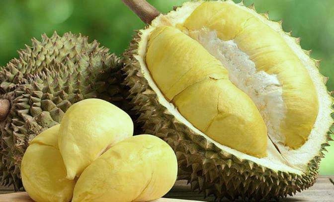 Makanan dan Minuman yang Dilarang Setelah Mengkonsumsi Buah Durian