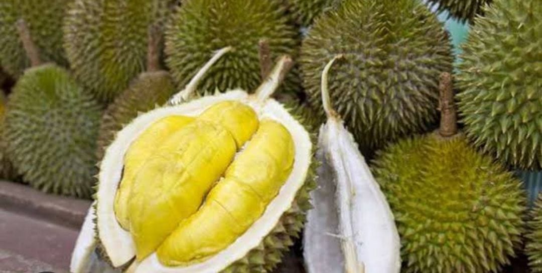 Pahami Larangan Mengonsumsi Makanan dan Minuman Setelah Menikmati Durian