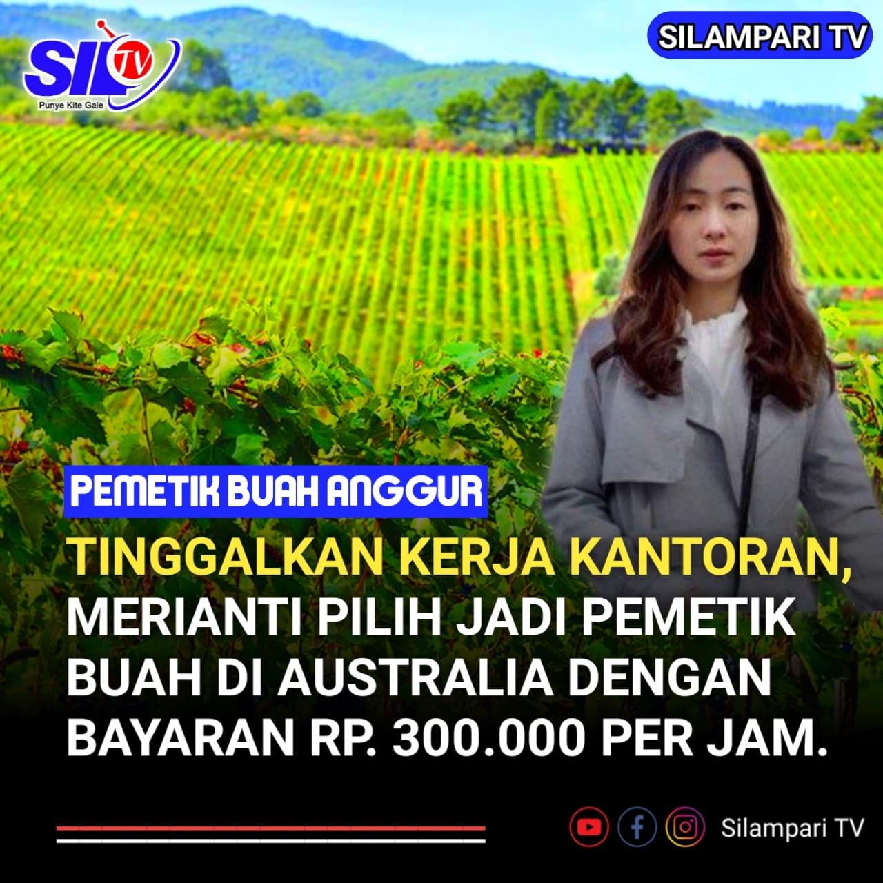 Tinggalkan Kerja Kantoran, Merianti Pilih Jadi Pemetik Buah di Australia dengan Bayaran Rp. 300.000 per Jam.