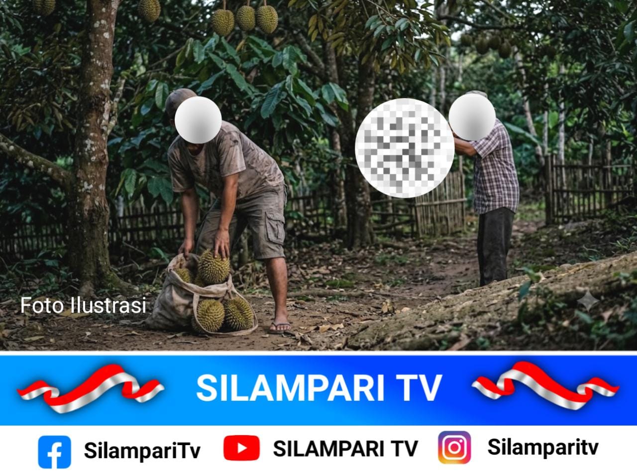 Heboh! Warga Lubuklinggau Ditembak Pemilik Kebun Saat Diduga Hendak Ambil Durian