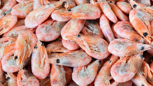 Dari Udang Beku hingga Zona Radiasi: Kronologi Lengkap Temuan Kontaminasi Cesium-137 di Cikande