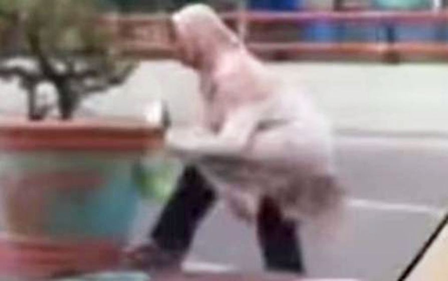 Akibat Emosi Diejek, Seorang Wanita Rusak Pot Bunga di Flyover Polda Sumsel