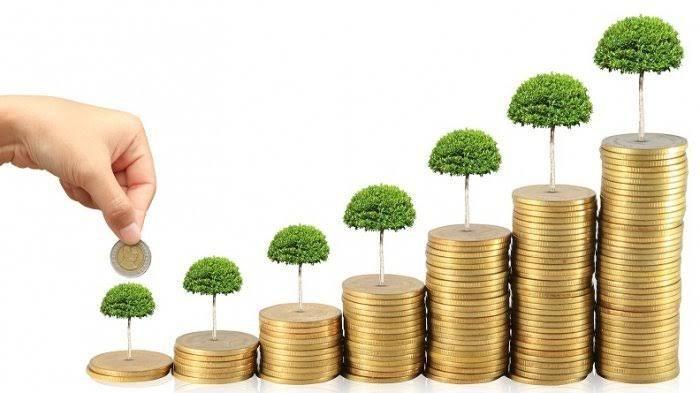 Investasi Cara Paling Ampuh Membangun Kekayaan, Berikut 15 Tips Investasi Agar Tidak Zonk!