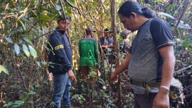 BKSDA Sumsel Cek Lokasi Serangan Beruang di Musi Rawas, Warga Diminta Waspada