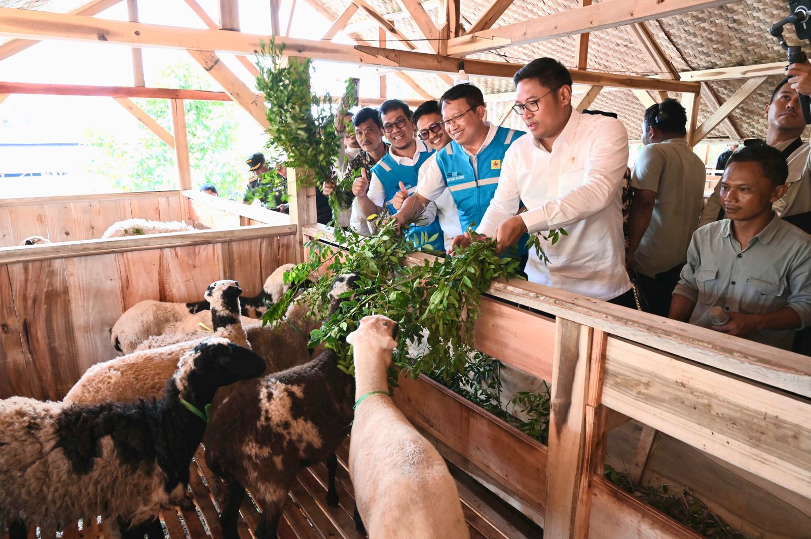 Terus Kembangkan Bahan Co-Firing Biomassa, PLN Bersama Kementan Luncurkan Model Pertanian Terpadu