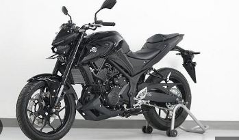 Harga Yamaha MT-25: Motor Sport yang Bisa Dilirik dan Tidak Pasaran