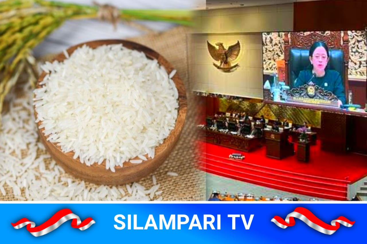 Rincian Gaji dan Tunjangan DPR: Ada Beras Rp. 12 Juta per Bulan