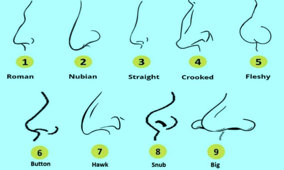 Ungkap Sifat Seseorang Berdasarkan Bentuk Hidung, Nomor 3 Dikenal Sebagai Sosok Bijaksana