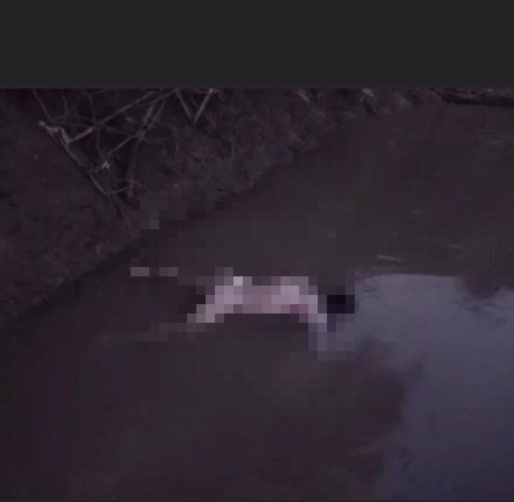 Penemuan Mayat Pria Tanpa Identitas Mengapung di Sungai Musi Gegerkan Warga Desa Bingin Jungut