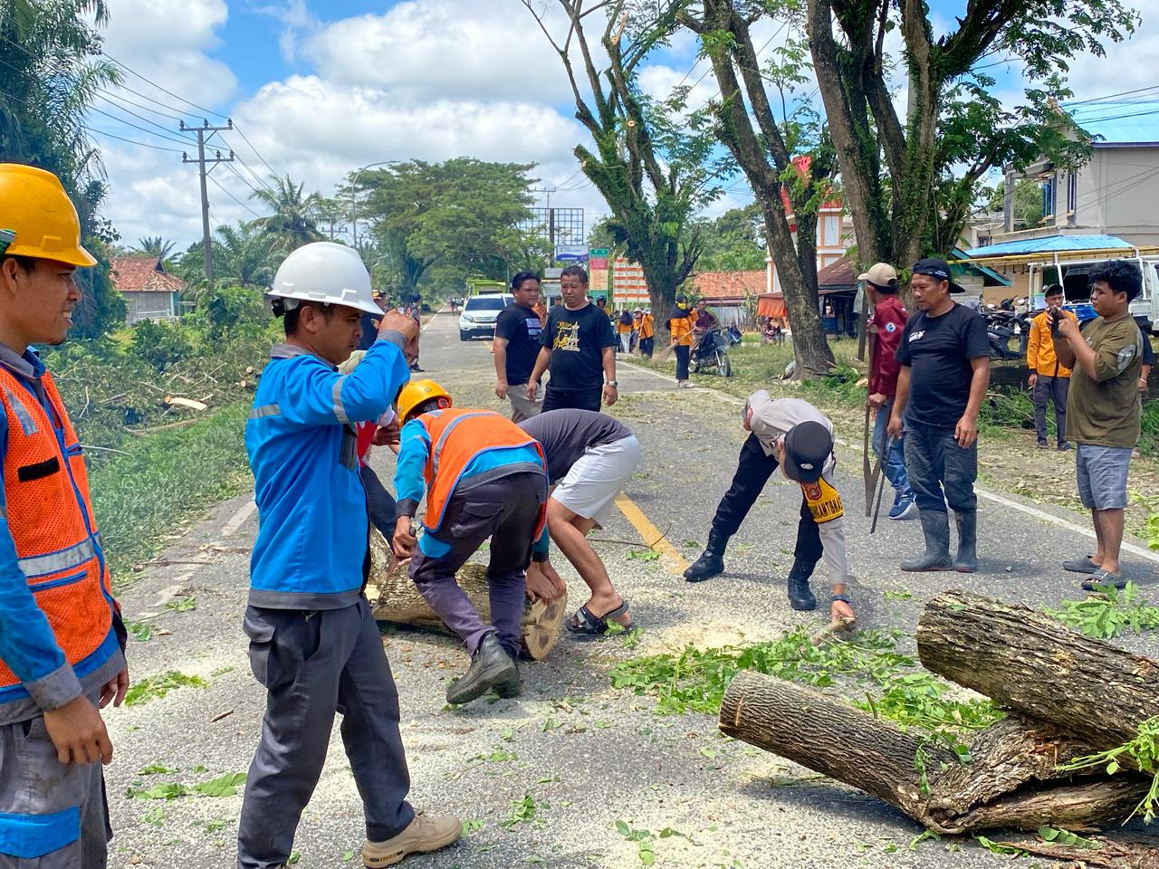 Pemerintah, Polres dan Masyarakat Muratara Dukung PLN ULP Muratara, Lakukan Giat Right Of Ways (ROW) Bersama