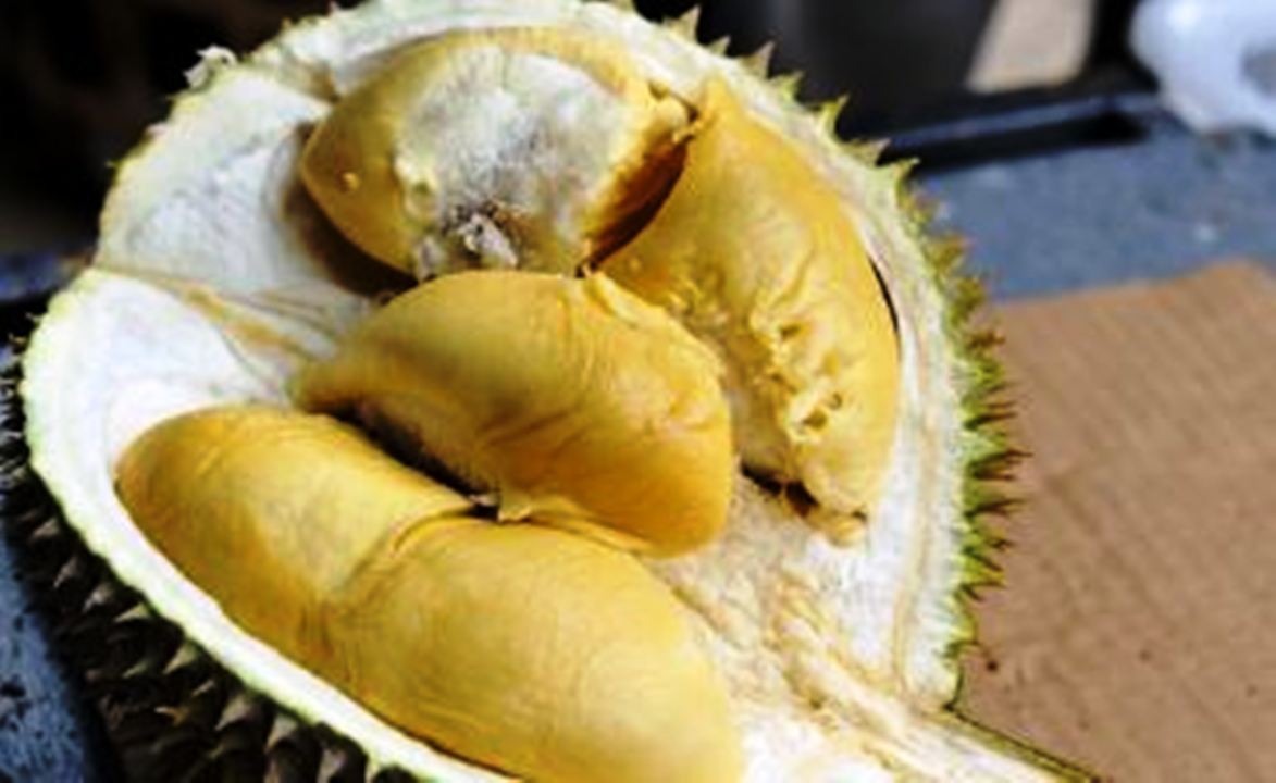 Begini Cara Memilih Durian dengan Daging Tebal dan Manis