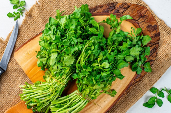 Rahasia Sehat dari Selada Air: Sayuran Sederhana dengan Segudang Manfaat