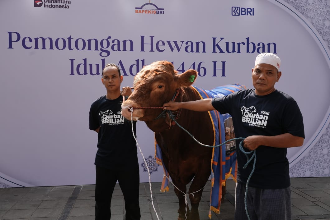 Semangat Berbagi Idul Adha 1446 H, Bapekis dan Karyawan BRI Salurkan 961 Hewan Kurban untuk Masyarakat